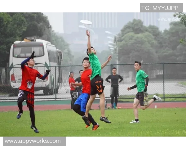 飞盘逆袭：深圳飞盘队的奋斗与荣耀之路全纪录